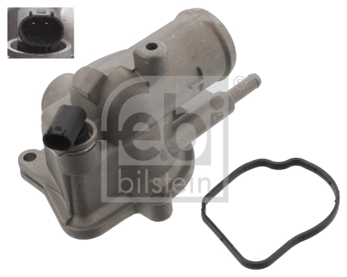 Thermostat, coolant
